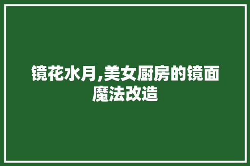 镜花水月,美女厨房的镜面魔法改造