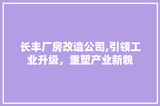 长丰厂房改造公司,引领工业升级，重塑产业新貌