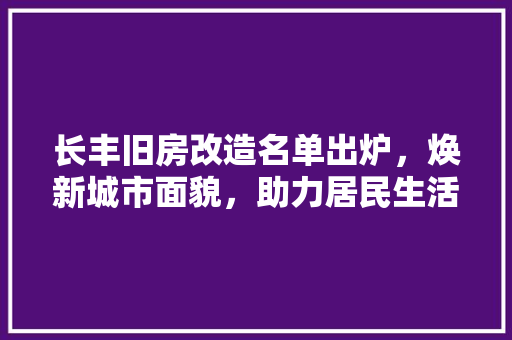 长丰旧房改造名单出炉，焕新城市面貌，助力居民生活品质提升