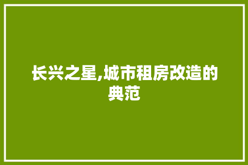 长兴之星,城市租房改造的典范