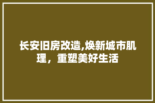 长安旧房改造,焕新城市肌理，重塑美好生活