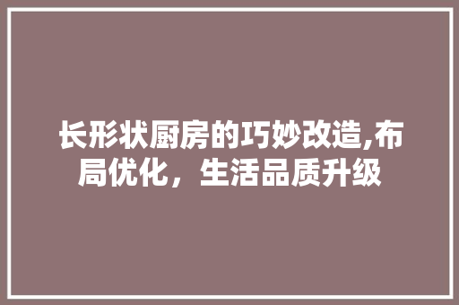 长形状厨房的巧妙改造,布局优化，生活品质升级 居家维修
