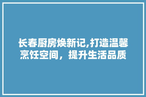 长春厨房焕新记,打造温馨烹饪空间，提升生活品质