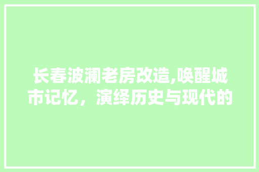 长春波澜老房改造,唤醒城市记忆，演绎历史与现代的和谐共鸣
