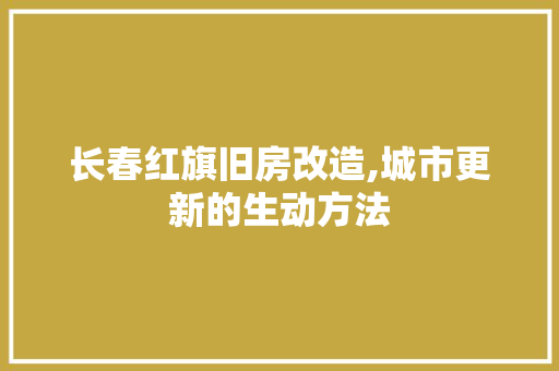长春红旗旧房改造,城市更新的生动方法