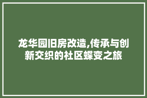 龙华园旧房改造,传承与创新交织的社区蝶变之旅 墙体维修