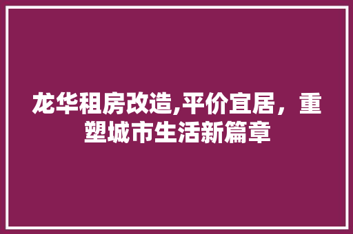龙华租房改造,平价宜居，重塑城市生活新篇章 厨房维修