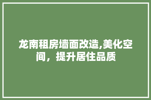 龙南租房墙面改造,美化空间，提升居住品质