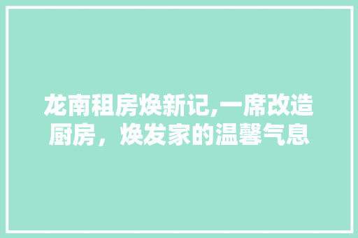 龙南租房焕新记,一席改造厨房，焕发家的温馨气息 居家维修