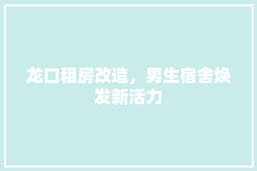 龙口租房改造，男生宿舍焕发新活力