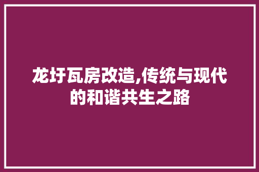 龙圩瓦房改造,传统与现代的和谐共生之路 墙体维修