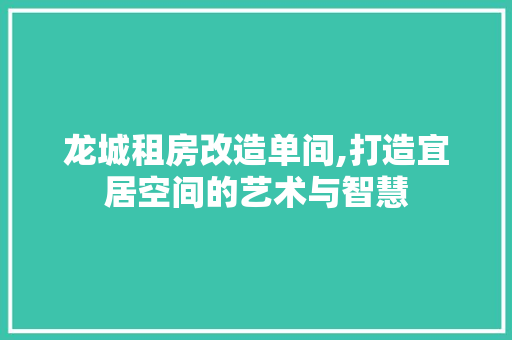 龙城租房改造单间,打造宜居空间的艺术与智慧