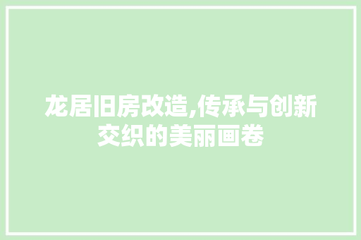 龙居旧房改造,传承与创新交织的美丽画卷