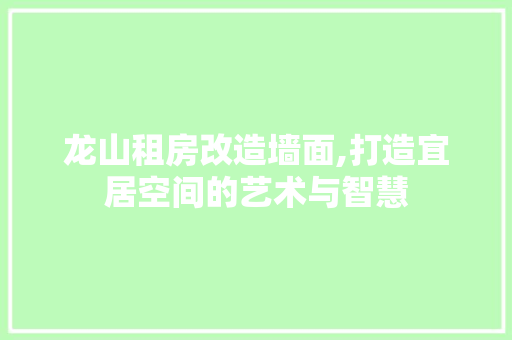 龙山租房改造墙面,打造宜居空间的艺术与智慧 家电维修