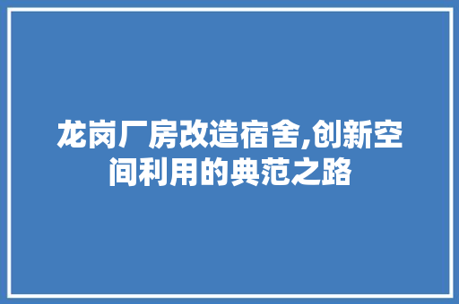 龙岗厂房改造宿舍,创新空间利用的典范之路 厨房维修