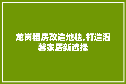 龙岗租房改造地毯,打造温馨家居新选择