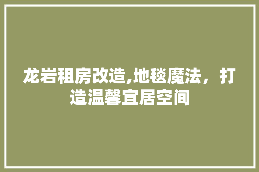 龙岩租房改造,地毯魔法，打造温馨宜居空间 厨房维修