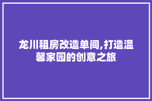 龙川租房改造单间,打造温馨家园的创意之旅 厨房维修