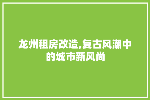 龙州租房改造,复古风潮中的城市新风尚