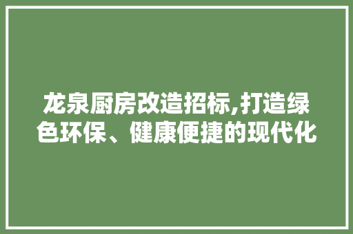 龙泉厨房改造招标,打造绿色环保、健康便捷的现代化厨房空间