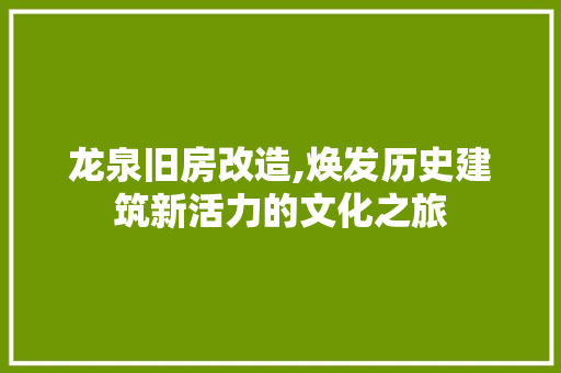 龙泉旧房改造,焕发历史建筑新活力的文化之旅