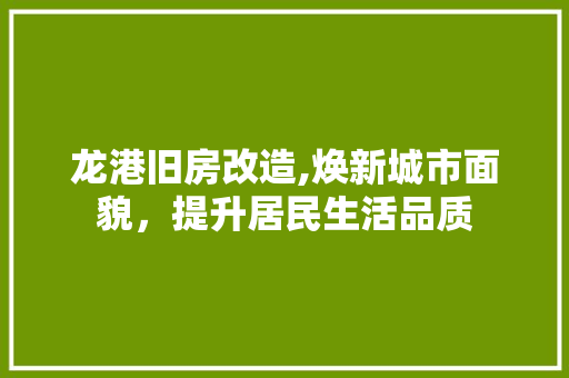 龙港旧房改造,焕新城市面貌，提升居民生活品质