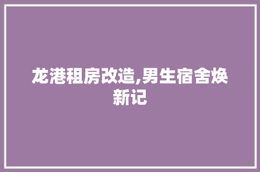 龙港租房改造,男生宿舍焕新记