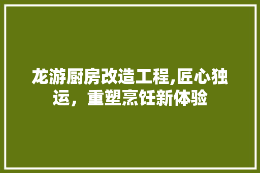 龙游厨房改造工程,匠心独运，重塑烹饪新体验