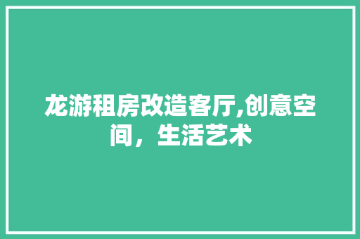 龙游租房改造客厅,创意空间，生活艺术 厨房维修