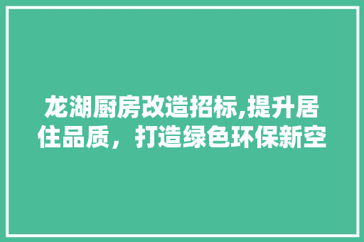 龙湖厨房改造招标,提升居住品质，打造绿色环保新空间