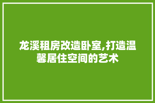 龙溪租房改造卧室,打造温馨居住空间的艺术 厨房维修