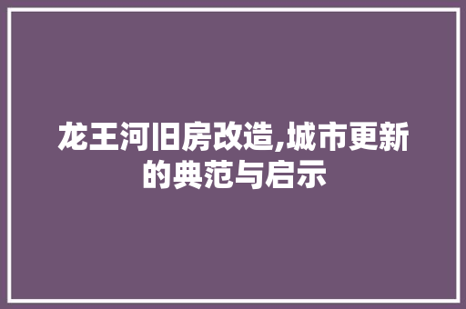 龙王河旧房改造,城市更新的典范与启示