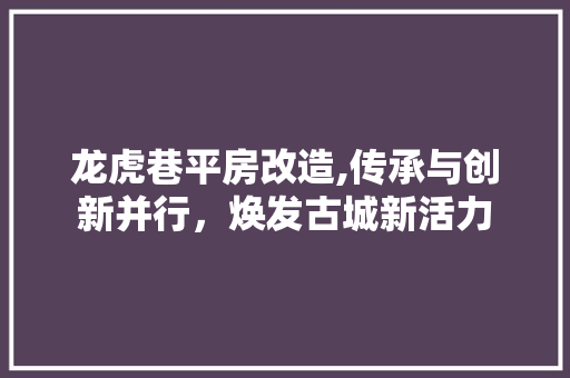 龙虎巷平房改造,传承与创新并行，焕发古城新活力 厨房维修