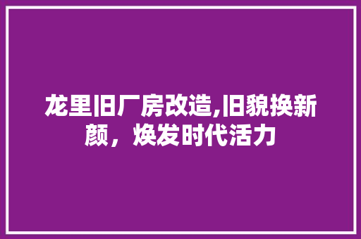 龙里旧厂房改造,旧貌换新颜，焕发时代活力