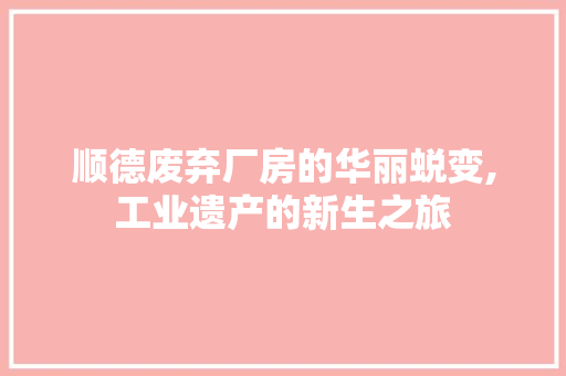 顺德废弃厂房的华丽蜕变,工业遗产的新生之旅