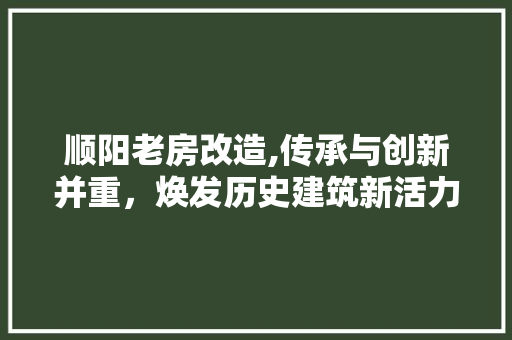顺阳老房改造,传承与创新并重，焕发历史建筑新活力