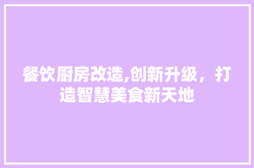餐饮厨房改造,创新升级，打造智慧美食新天地