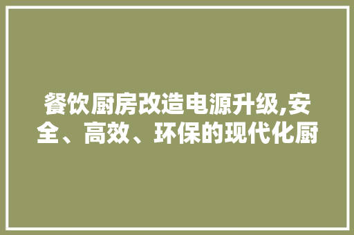 餐饮厨房改造电源升级,安全、高效、环保的现代化厨房动力