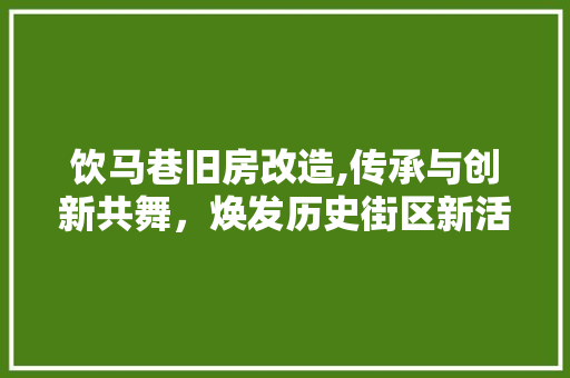 饮马巷旧房改造,传承与创新共舞，焕发历史街区新活力