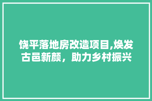 饶平落地房改造项目,焕发古邑新颜，助力乡村振兴