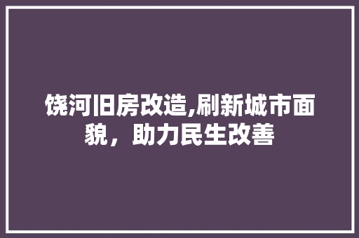 饶河旧房改造,刷新城市面貌，助力民生改善