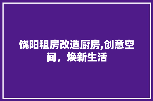 饶阳租房改造厨房,创意空间，焕新生活