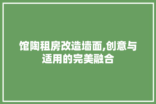 馆陶租房改造墙面,创意与适用的完美融合