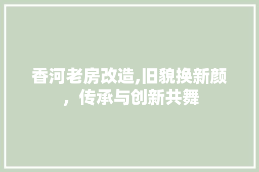 香河老房改造,旧貌换新颜，传承与创新共舞