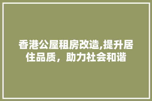 香港公屋租房改造,提升居住品质，助力社会和谐