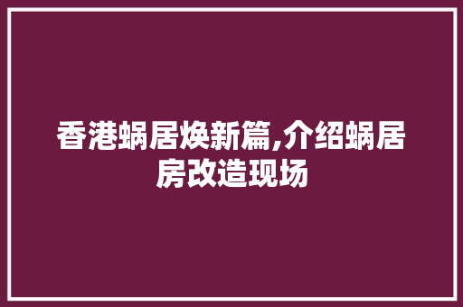 香港蜗居焕新篇,介绍蜗居房改造现场