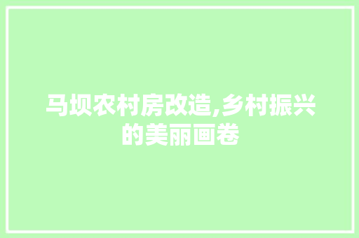 马坝农村房改造,乡村振兴的美丽画卷