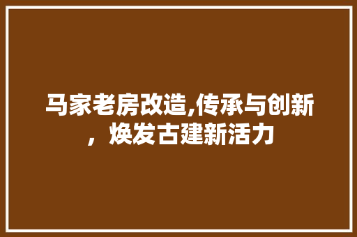马家老房改造,传承与创新，焕发古建新活力