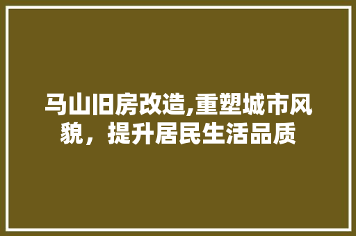 马山旧房改造,重塑城市风貌，提升居民生活品质