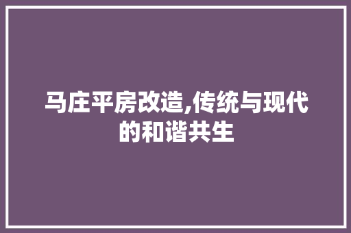 马庄平房改造,传统与现代的和谐共生